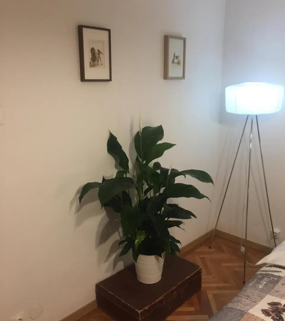 Marcy Studio Apartamento Bucareste